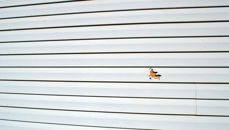 Siding Repair and Maintenance